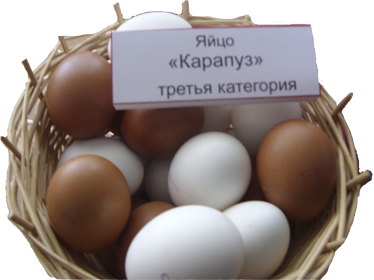 Яйцо куриное третьей категории "Карапуз", 10 штук