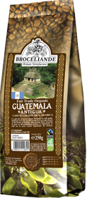 BROCELLIANDE GUATEMALA 250 гр