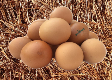 Яйцо куриное "Костромское деревенское" категория С-1, 10 штук